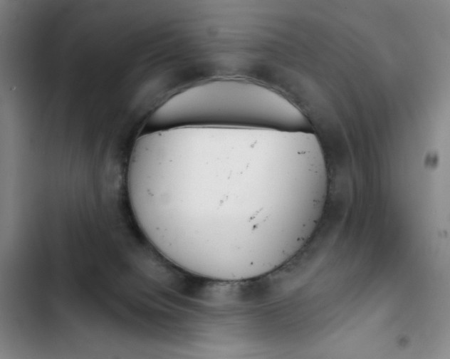 X0000102280084200808221315
