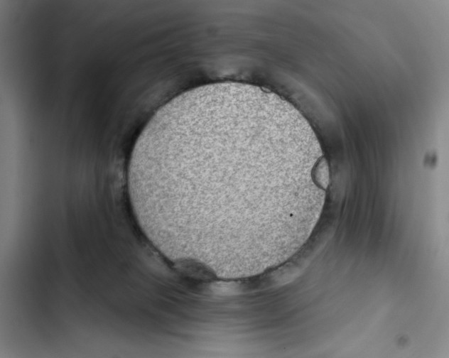 X0000102280085200808221315