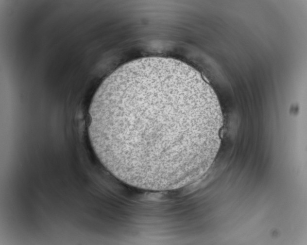 X0000102280086200808221315