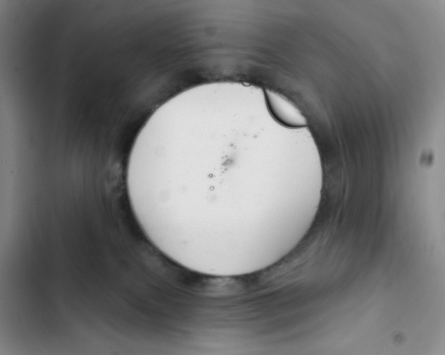 X0000102280087200808221315