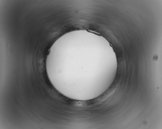 X0000102280088200808221315