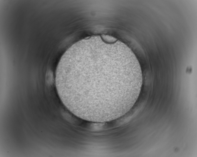 X0000102280089200808221315
