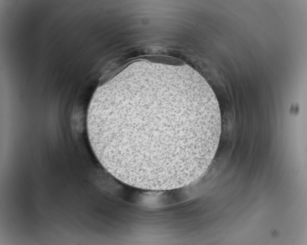 X0000102280090200808221315