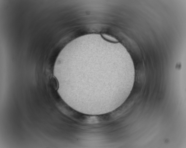 X0000102280091200808221315