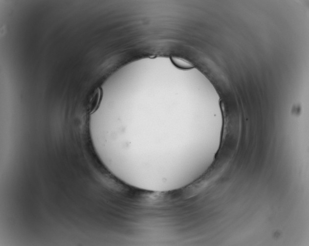 X0000102280092200808221315
