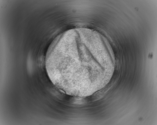 X0000102280093200808221315