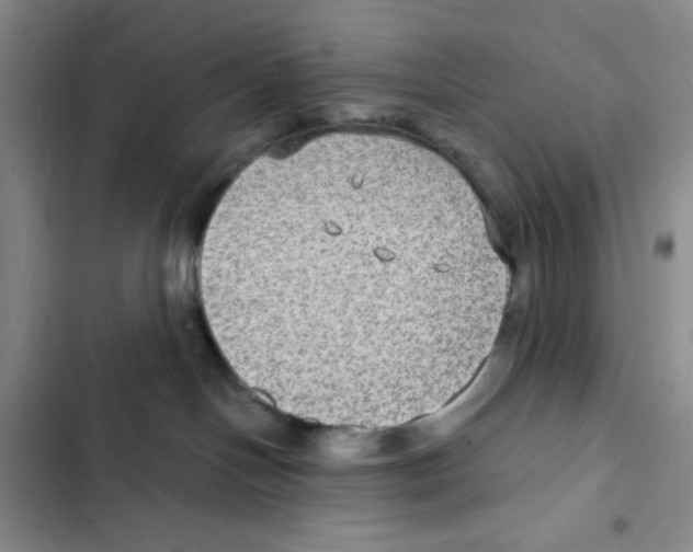 X0000102280094200808221315