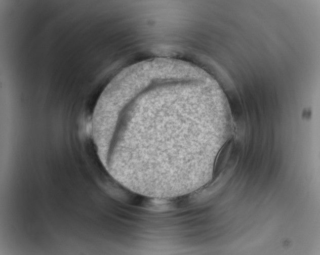 X0000102280095200808221315