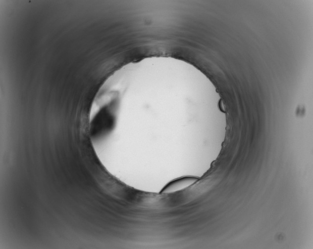 X0000102280096200808221315