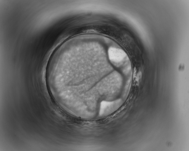 X0000102280099200808221314