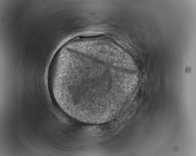 X0000102280100200808221314