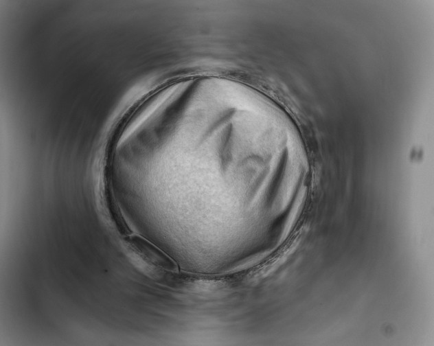 X0000102280101200808221314