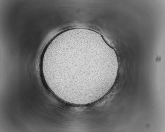 X0000102280103200808221314