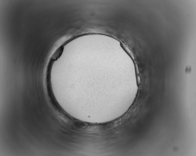 X0000102280104200808221314