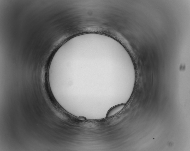 X0000102280106200808221314