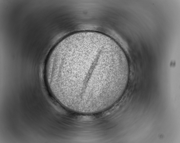 X0000102280107200808221314
