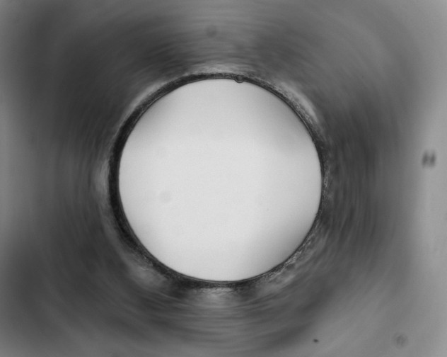 X0000102280108200808221314