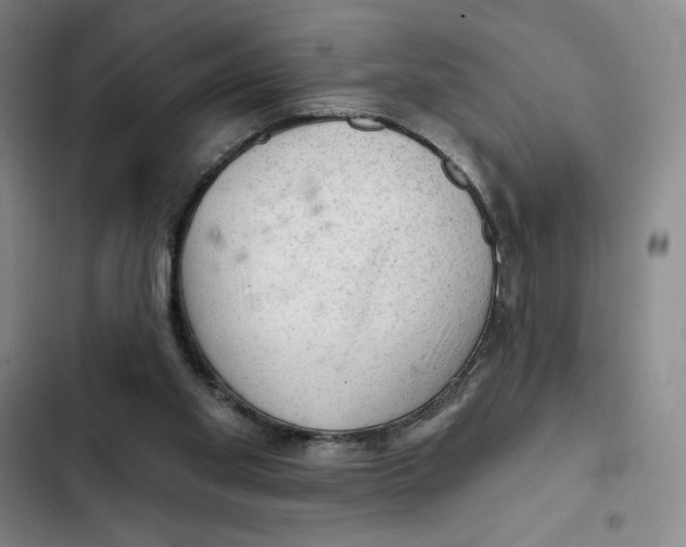 X0000102280109200808221314