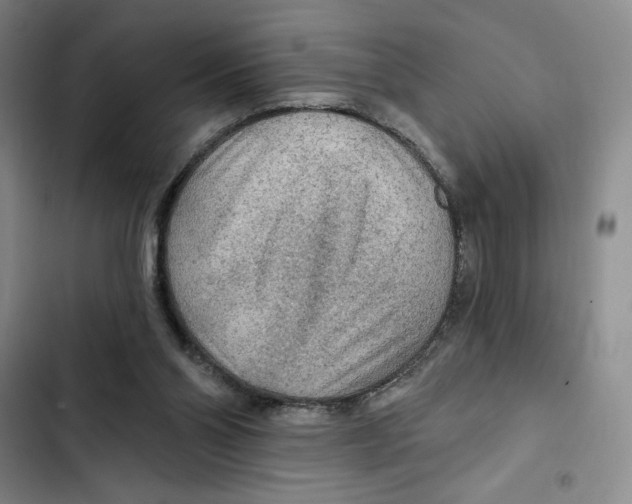 X0000102280110200808221314