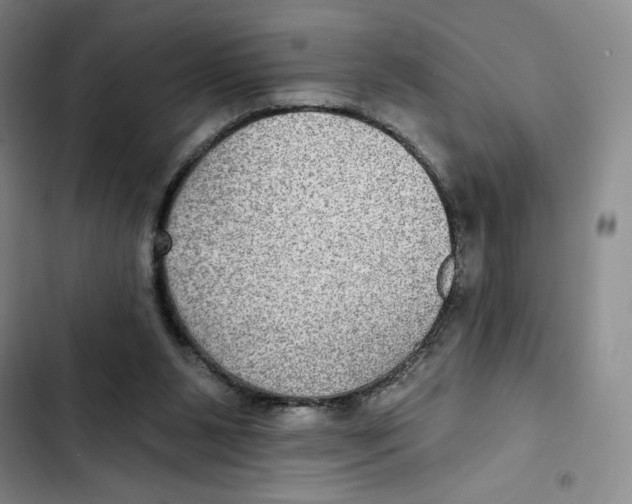 X0000102280111200808221314