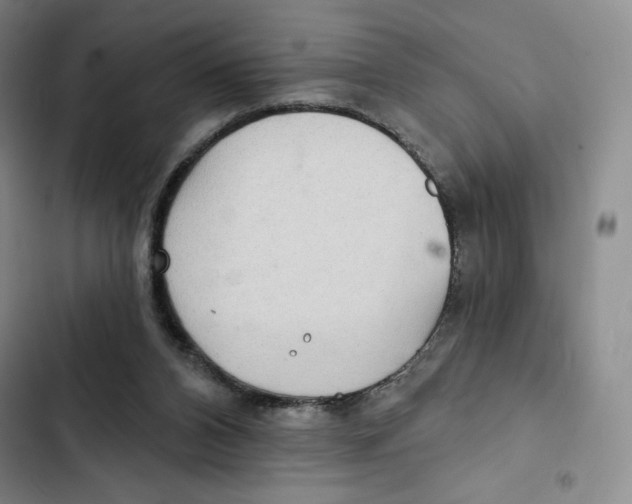 X0000102280112200808221314
