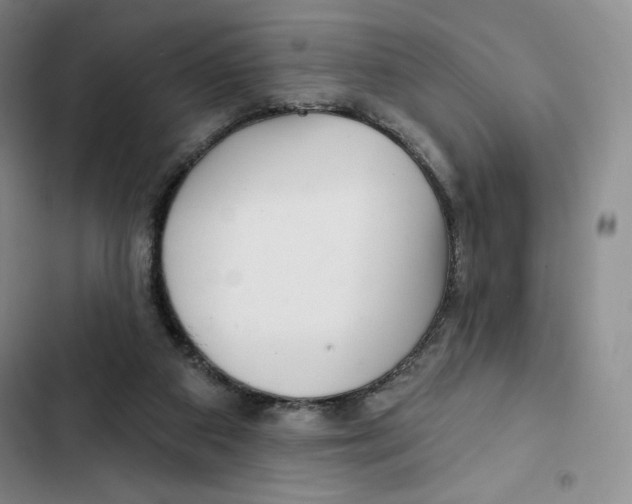 X0000102280113200808221314