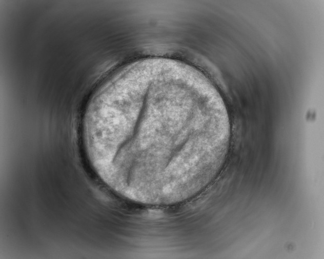 X0000102280114200808221314