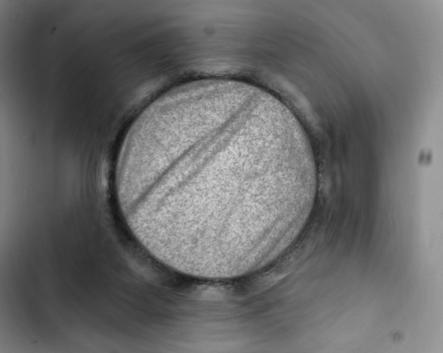 X0000102280115200808221314