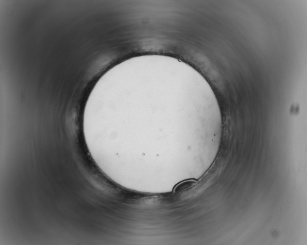 X0000102280116200808221314