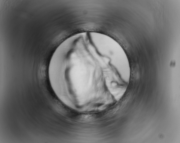 X0000102280117200808221314