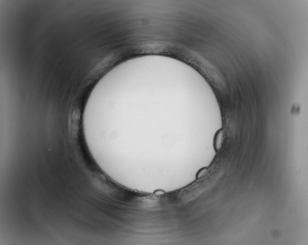 X0000102280118200808221314