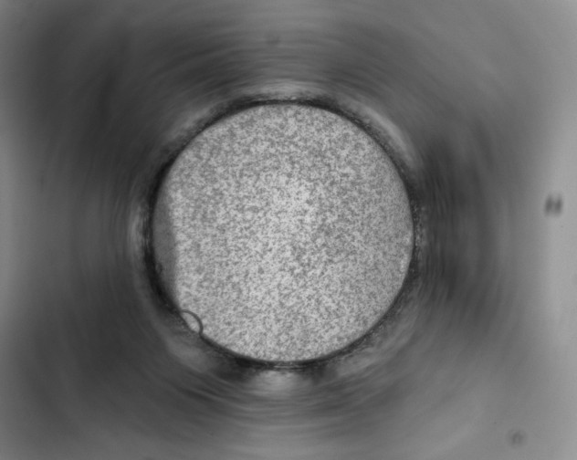 X0000102280119200808221314