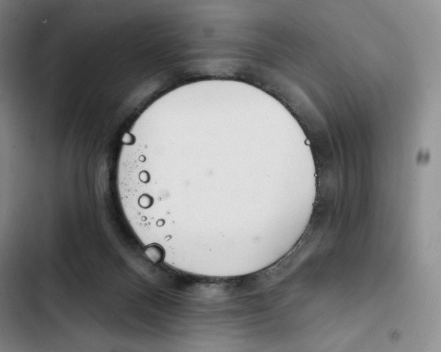 X0000102280120200808221314