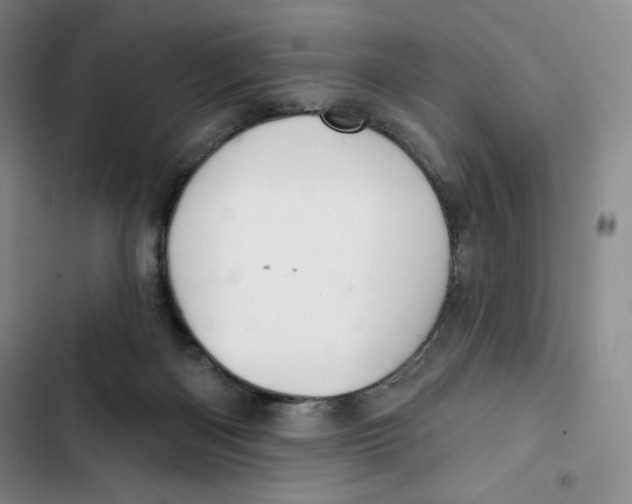 X0000102280122200808221314