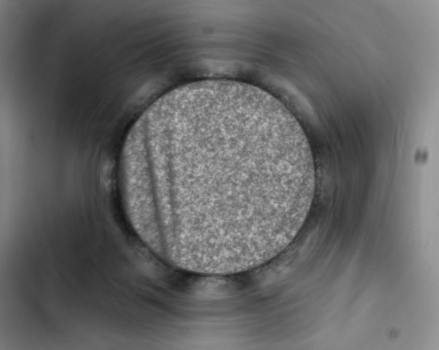 X0000102280123200808221314