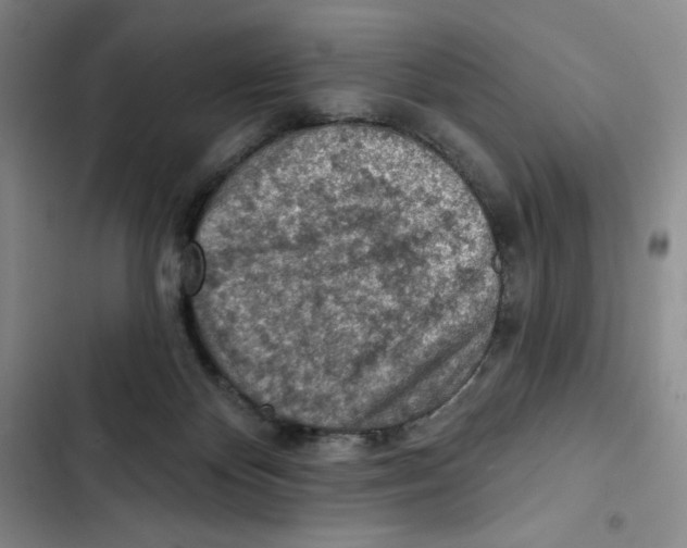 X0000102280124200808221314