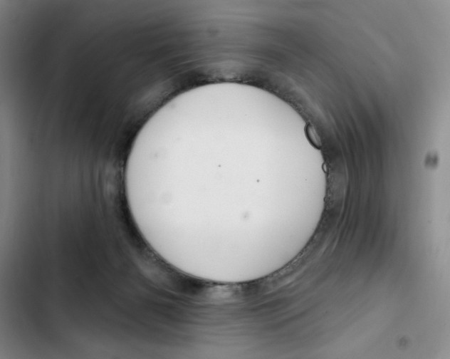 X0000102280126200808221314