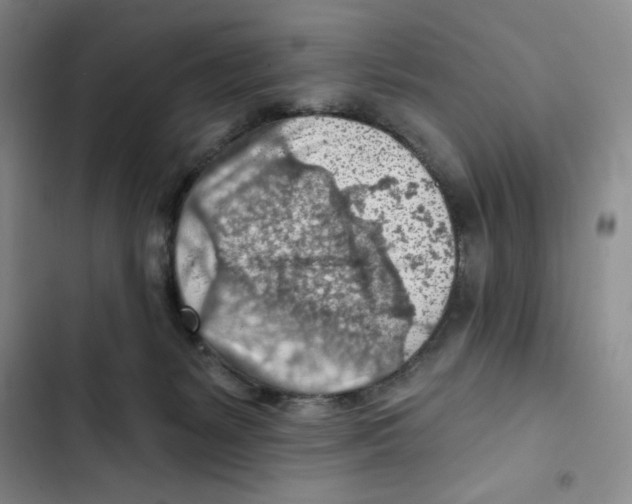X0000102280127200808221314