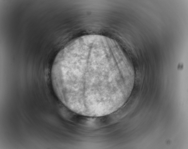 X0000102280130200808221314
