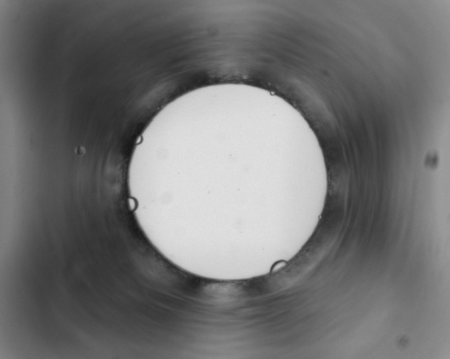 X0000102280133200808221314