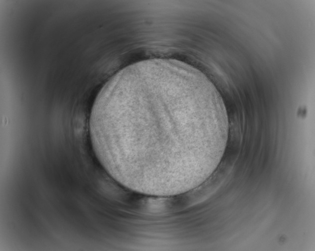 X0000102280134200808221314