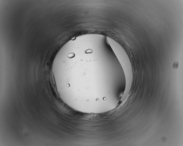 X0000102280136200808221314