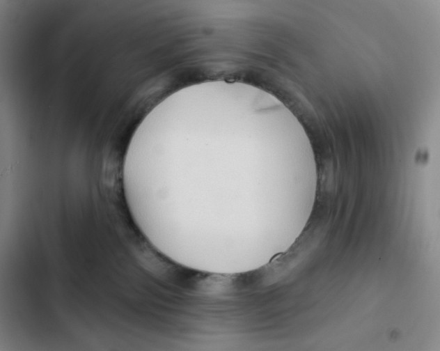 X0000102280138200808221313