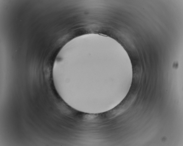 X0000102280139200808221313