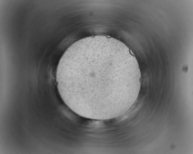 X0000102280140200808221313