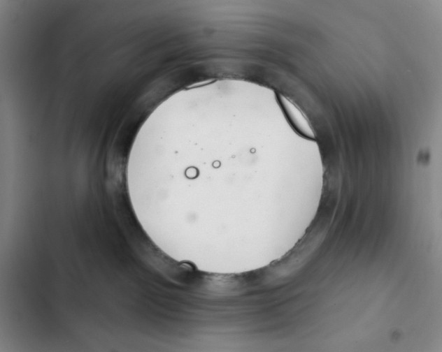X0000102280141200808221313