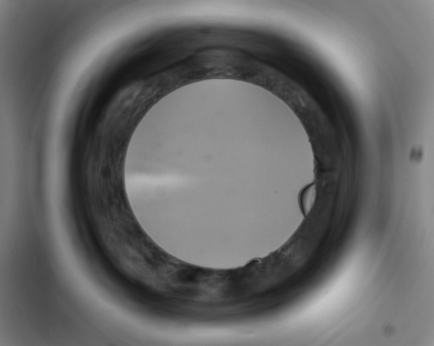 X0000102280143200808221313