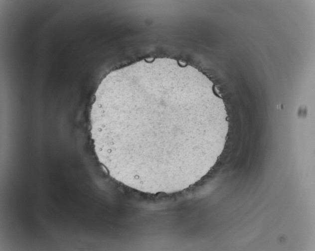 X0000102280144200808221313