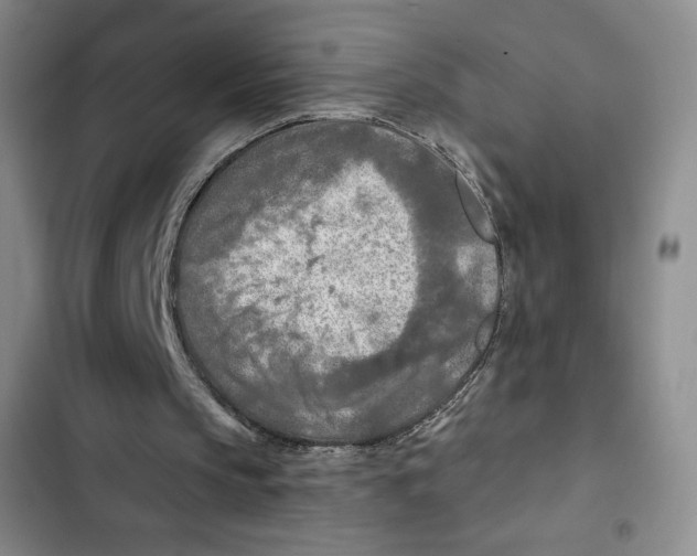 X0000102280145200808221313