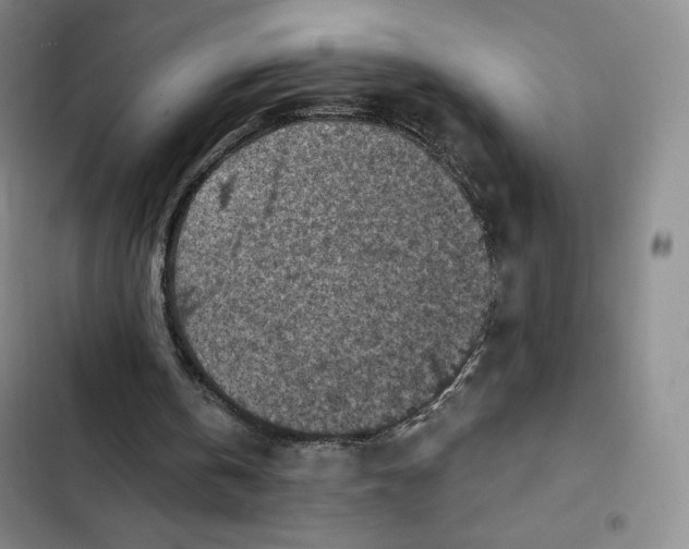 X0000102280146200808221313
